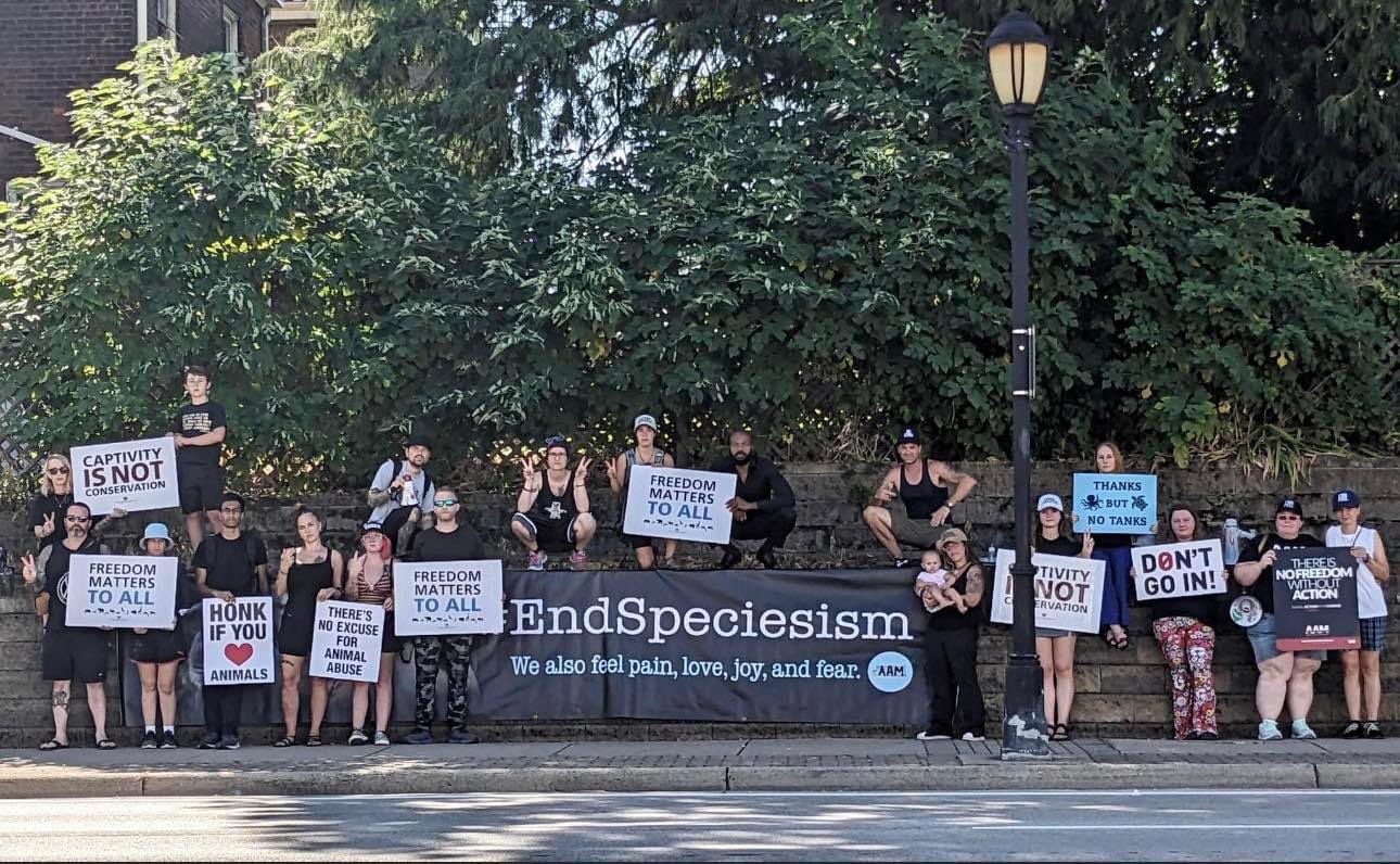 Protesters with a banner that says 'End speciesism'
